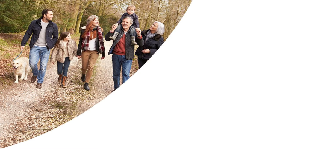 family-walking-in-the-woods-desktop