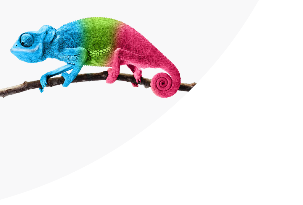 chameleon_mobile_1024x695